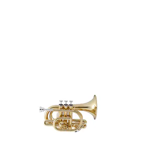 08 Pocket-trumpets