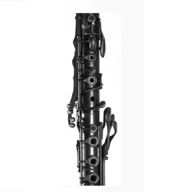 Hovedbilde SELMER Bb Clarinet   Privilège  1B Black Edition