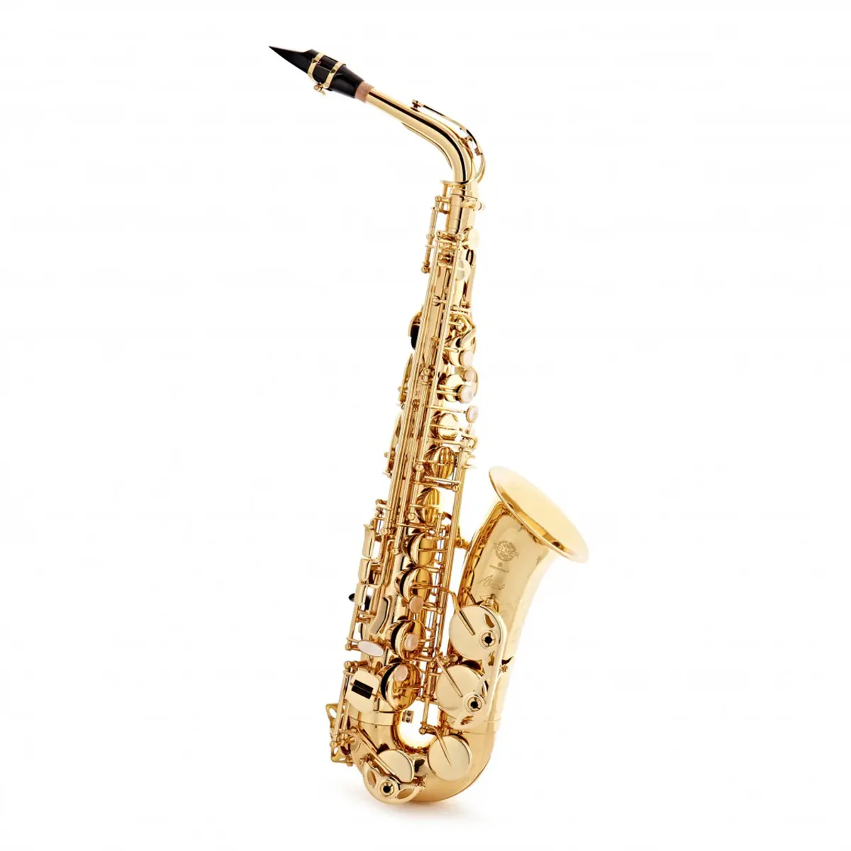 SELMER 2313070036 Axos Alto Sax Gold Engraved Outfit