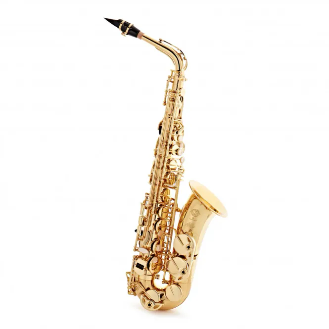 Hovedbilde SELMER Axos Alto Sax Gold Engraved Outfit